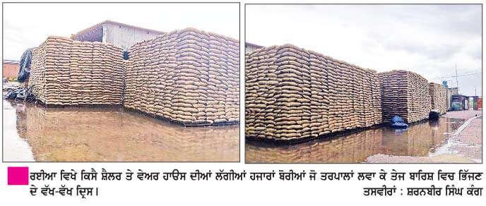    ਨਹੀਂ ਡਰ ਵੇਅਰ ਹਾਊਸ ਦੀ ਇੰਸਪੈਕਟਰ ਨੂੰ  ਕਿਸੇ ਦਾ,  ਗ਼ਰੀਬ ਲੋਕਾਂ ਦੇ ਖਾਣ ਵਾਲੀ ਕਣਕ ਦੀਆਂ ਤਰਪਾਲਾਂ ਲਵਾ ਕੇ ਬਾਰਿਸ਼ 'ਚ ਭਿਉਂਈ ਗਈ ਹਜ਼ਾਰਾਂ ਬੋਰੀਆਂ ਕਣਕ  