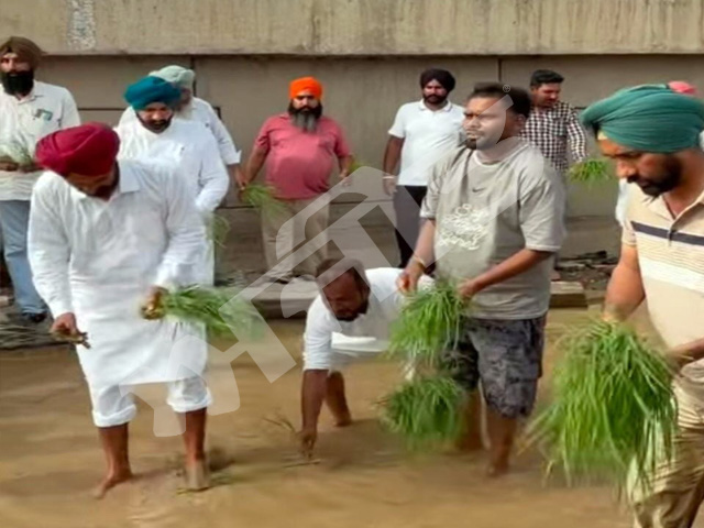 ਪਾਣੀ ਦੇ ਨਿਕਾਸ ਦਾ ਪ੍ਰਬੰਧ ਨਾ ਹੋਰ ਕਾਰਨ ਕਾਂਗਰਸੀਆਂ ਨੇ ਮੀਂਹ ਦੇ ਖੜੇ ਪਾਣੀ ਵਿਚ ਝੋਨਾ ਲਗਾ ਕੇ ਕੀਤੀ ਨਾਅਰੇਬਾਜ਼ੀ 