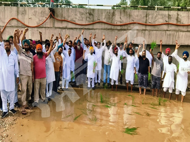 ਪਾਣੀ ਦੇ ਨਿਕਾਸ ਦਾ ਪ੍ਰਬੰਧ ਨਾ ਹੋਰ ਕਾਰਨ ਕਾਂਗਰਸੀਆਂ ਨੇ ਮੀਂਹ ਦੇ ਖੜੇ ਪਾਣੀ ਵਿਚ ਝੋਨਾ ਲਗਾ ਕੇ ਕੀਤੀ ਨਾਅਰੇਬਾਜ਼ੀ 