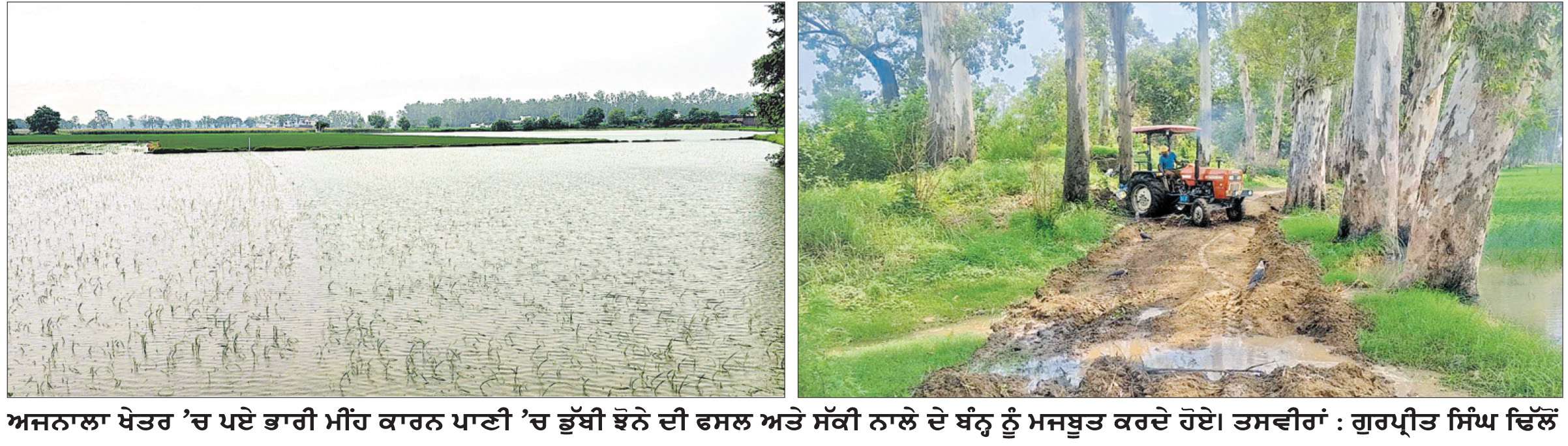  ਅਜਨਾਲਾ ਖੇਤਰ ’ਚ ਮੀਂਹ ਕਾਰਨ ਕਿਸਾਨਾਂ ਦੀਆਂ ਚਿੰਤਾਵਾਂ ਹੋਰ ਵਧੀਆਂ
