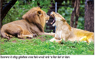 ਹੈਦਰਾਬਾਦ ਦੇ ਨਹਿਰੂ ਜ਼ੂਲੋਜੀਕਲ ਪਾਰਕ ਵਿਖੇ