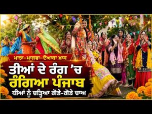 Majha - Malwa - Doaba ਖਾਸ ਤੀਆਂ ਦੇ ਰੰਗ 'ਚ ਰੰਗਿਆ ਪੰਜਾਬ ਧੀਆਂ ਨੂੰ ਚੜਿਆ ਗੋਡੇ-ਗੋਡੇ ਚਾਅ