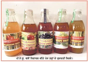 ਵਧੀਆ ਸਹਾਇਕ ਕਿੱਤਾ ਹੈ ਗੰਨੇ ਤੇ ਫ਼ਲਾਂ ਤੋਂ ਕੁਦਰਤੀ ਸਿਰਕੇ ਦਾ ਉਤਪਾਦਨ