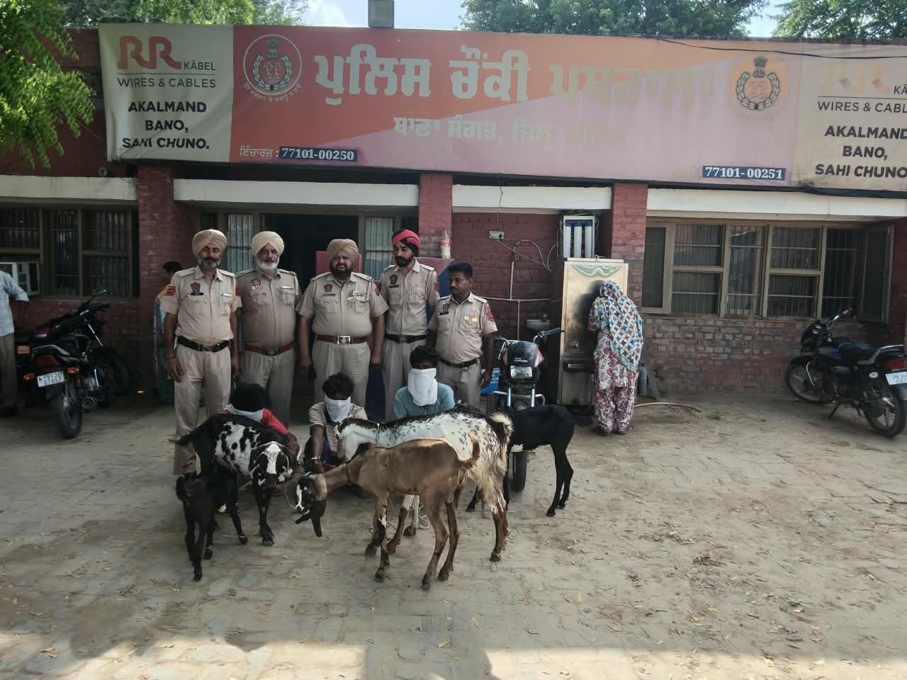ਬੱਕਰੀਆਂ ਚੋਰੀ ਕਰਨ ਵਾਲੇ ਪੰਜ ਵਿਅਕਤੀ ਕਾਬੂ, ਚੋਰੀ ਦੀਆਂ ਬੱਕਰੀਆਂ ਤੇ ਮੋਟਰਸਾਈਕਲ ਬਰਾਮਦ