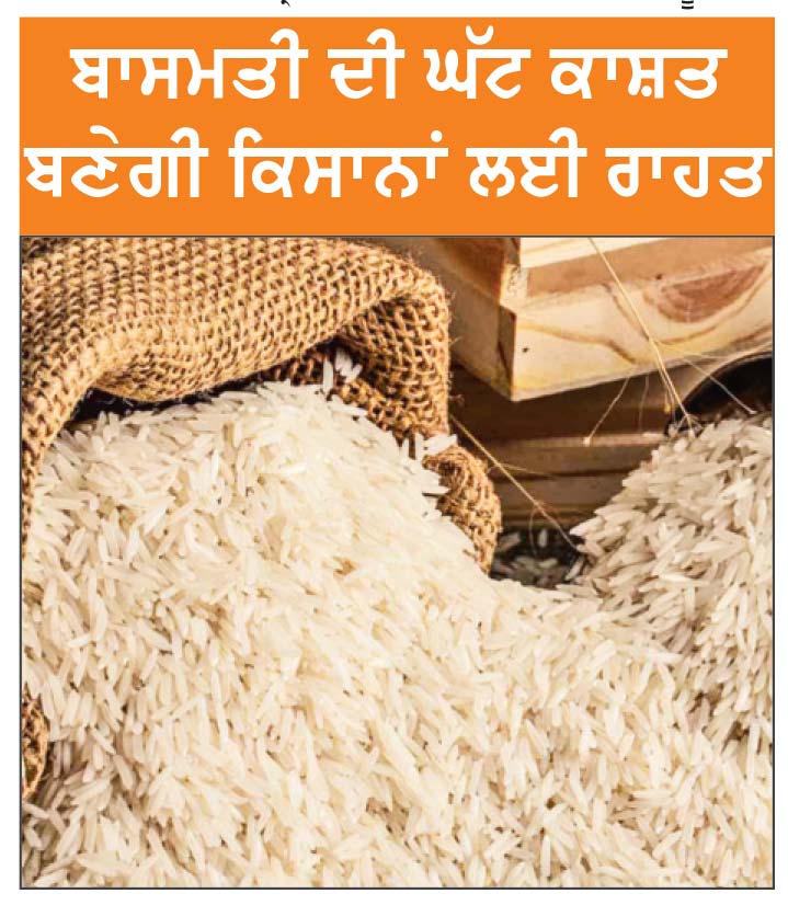 ਆਸਟ੍ਰੇਲੀਆਈ ਅਦਾਲਤ ਦਾ ਫ਼ੈਸਲਾ : ਬਾਸਮਤੀ ’ ਤੇ ਭਾਰਤ ਦਾ ਵਿਸ਼ੇਸ਼ ਹੱਕ ਰੱਦ