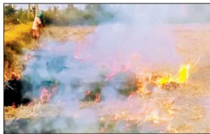 ਪੰਜਾਬ ਤੇ ਹਰਿਆਣਾ ’ਚ ਪਰਾਲੀ ਸਾੜਨ ਦੀਆਂ ਘਟਨਾਵਾਂ ਦੀ ਗਿਣਤੀ ਦੀ ਬਜਾਏ ਸੜੇ ਹੋਏ ਖੇਤਰ ਦਾ ਮੁਲਾਂਕਣ ਕਰ ਰਿਹਾ ਹੈ ਕਮਿਸ਼ਨ