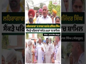 Former Sarpanch Joins AAP ; ਲਹਿਰਾਗਾਗਾ 'ਚ ਸਾਬਕਾ ਸਰਪੰਚ ਰਜਿੰਦਰ ਸਿੰਘ ਸੈਂਕੜੇ