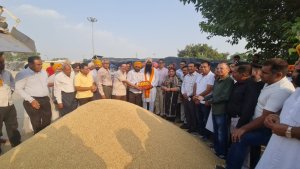 ਅਨਾਜ ਮੰਡੀ ਰਾਜਪੁਰਾ ਵਿਖੇ ਝੋਨੇ ਦੀ ਸਰਕਾਰੀ ਖਰੀਦ ਹੋਈ ਸ਼ੁਰੂ