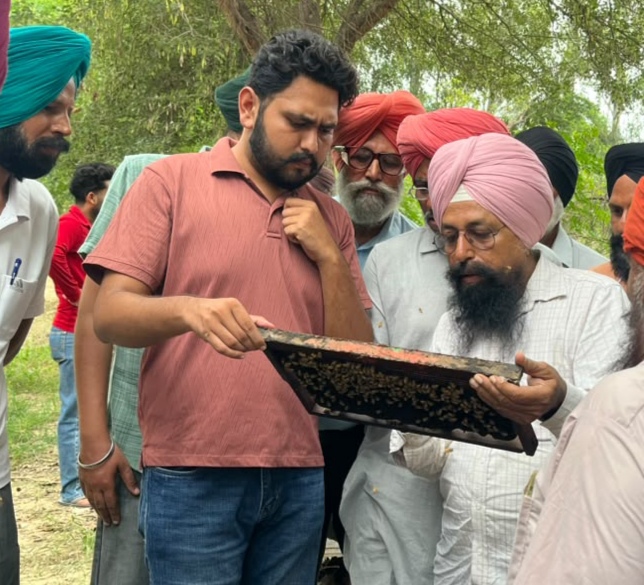 ਜ਼ਿਲ੍ਹਾ ਸੰਗਰੂਰ-ਮਲੇਰਕੋਟਲਾ ਦੇ ਕਈ ਉੱਦਮੀ ਕਿਸਾਨ ਖੇਤੀ ਦੇ ਨਾਲ ਨਾਲ ਅਪਣਾ ਰਹੇ ਨੇ ਸ਼ਹਿਦ ਦੀਆਂ ਮੱਖੀਆਂ ਪਾਲਣ ਦਾ ਸਹਾਇਕ ਧੰਦਾ