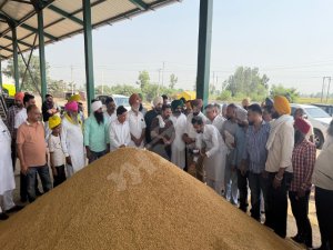 ਜੱਸਾ ਪੱਟੀ ਨੇ ਦਾਣਾ ਮੰਡੀ ਹਰੀਕੇ ਪੱਤਣ ਵਿਖੇ ਝੋਨੇ ਦੀ ਖ਼ਰੀਦ ਕਰਵਾਈ ਸ਼ੁਰੂ