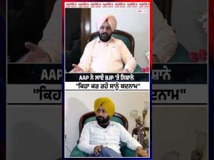 AAP ਨੇ ਲਾਏ BJP 'ਤੇ ਨਿਸ਼ਾਨੇ – "ਕਿਹਾ ਕਰ ਰਹੇ ਸਾਨੂੰ ਬਦਨਾਮ"