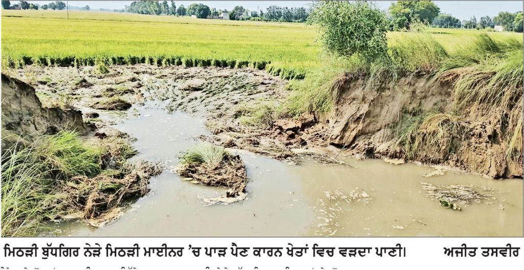 ਤਿਉਣਾ ਡਿਸਟਰੀਬਿਊਟਰੀ ਤੇ ਮਿਠੜੀ ਮਾਈਨਰ ’ਚ ਪਏ ਤਿੰਨ ਪਾੜ, 5 ਪਿੰਡਾਂ ਦਾ ਸੈਂਕੜੇ ਏਕੜ ਝੋਨਾ ਡੁੱਬਿਆ