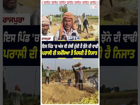Village Still Practices Manual Harvesting : ਇਸ ਪਿੰਡ 'ਚ ਅੱਜ ਵੀ ਹੱਥੀਂ ਹੁੰਦੀ ਹੈ ਝੋਨੇ ਦੀ ਵਾਢੀ