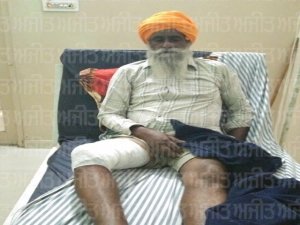 ਘੜਿਆਲ ਦੇ ਹਮਲੇ ਕਾਰਨ ਜੰਗਲੀ ਜੀਵ ਵਿਭਾਗ ਦਾ ਕਰਮਚਾਰੀ ਜ਼ਖ਼ਮੀ