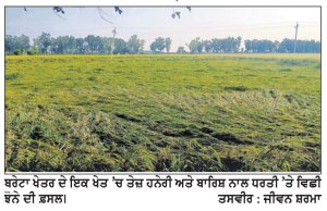 ਬਾਰਿਸ਼ ਨਾਲ ਝੋਨੇ ਦੀ ਫ਼ਸਲ ਧਰਤੀ ’ਤੇ ਵਿਛੀ ਝੋਨੇ ਦੀ ਕਟਾਈ ’ਤੇ ਖ਼ਰੀਦ ਹੋਈ ਪ੍ਰਭਾਵਿਤ