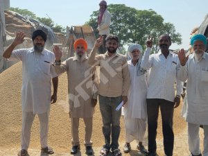 ਡੇਰਾਬੱਸੀ ਦੀ ਧਨੌਨੀ ਮੰਡੀ 'ਚ ਝੋਨੇ ਦੀ ਸਰਕਾਰੀ ਖ਼ਰੀਦ ਠੱਪ
